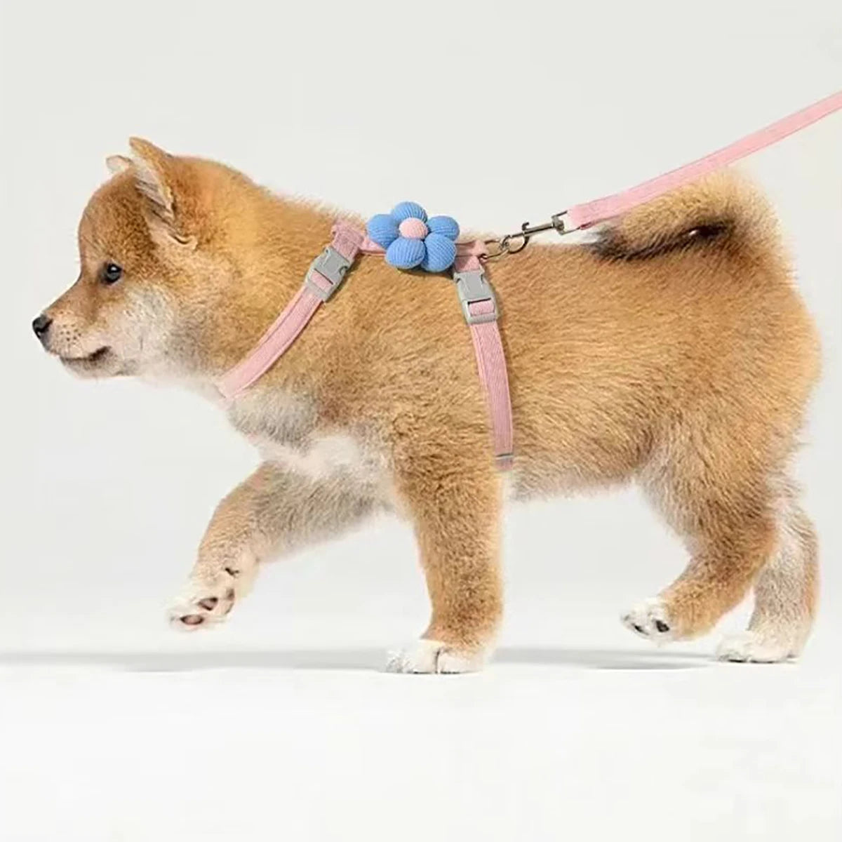 Bloom™ Cat Harness & Leash Set
