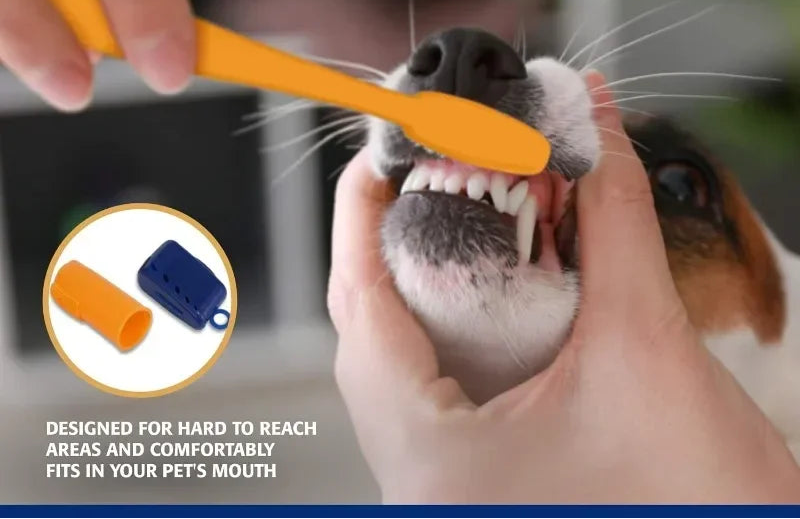 SmileGuard™ Pet Dental Care Kit
