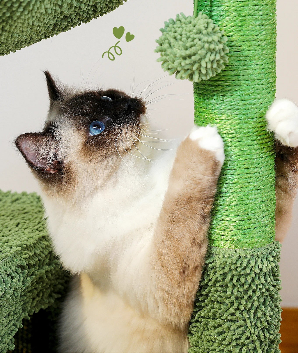 CactiClimb™ Cat Tower