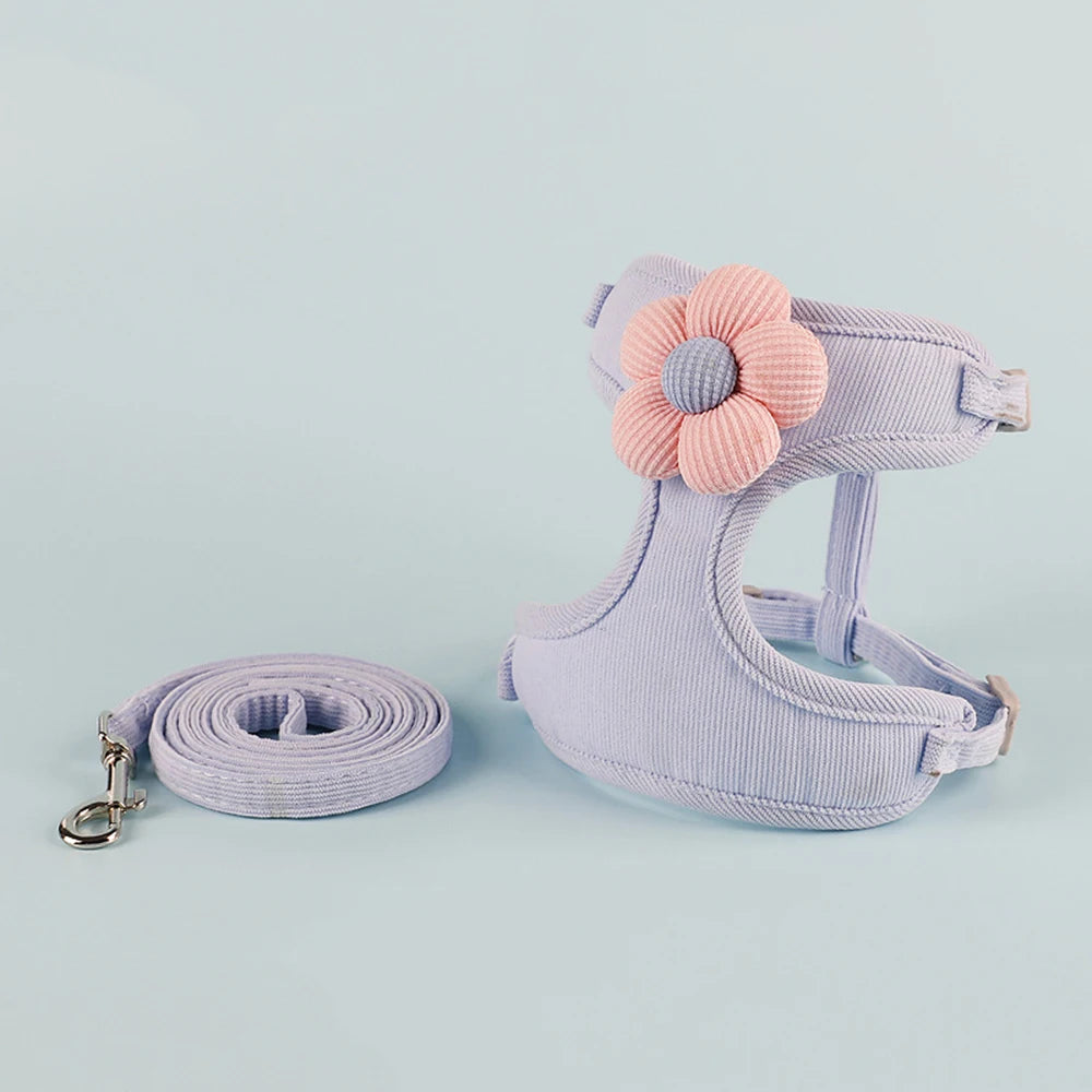 Bloom™ Cat Harness & Leash Set