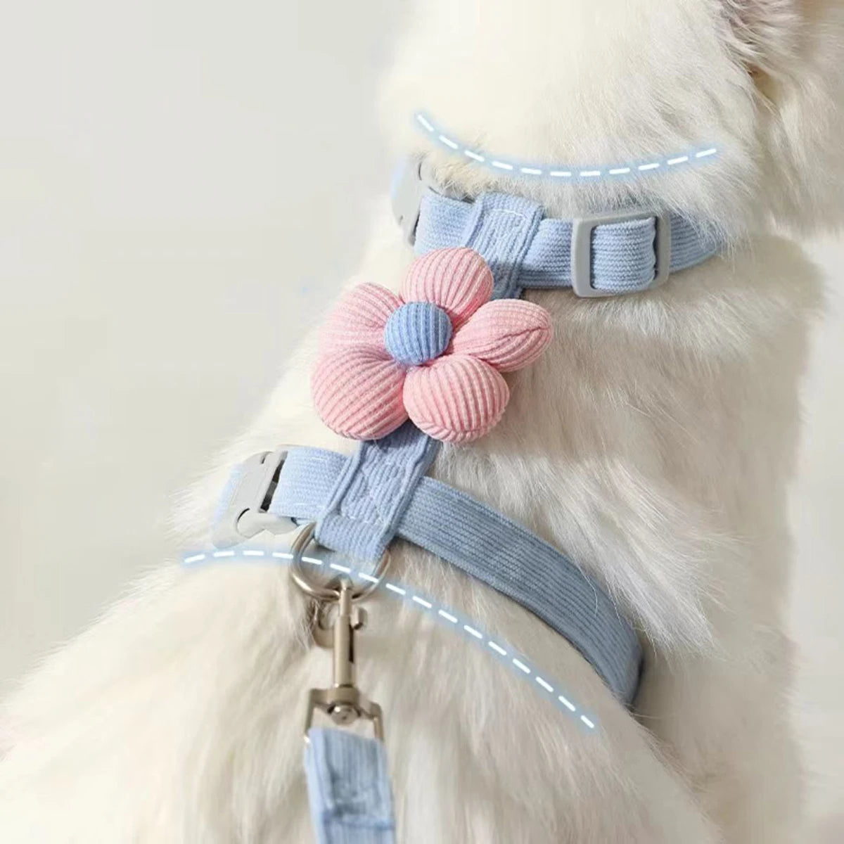 Bloom™ Cat Harness & Leash Set