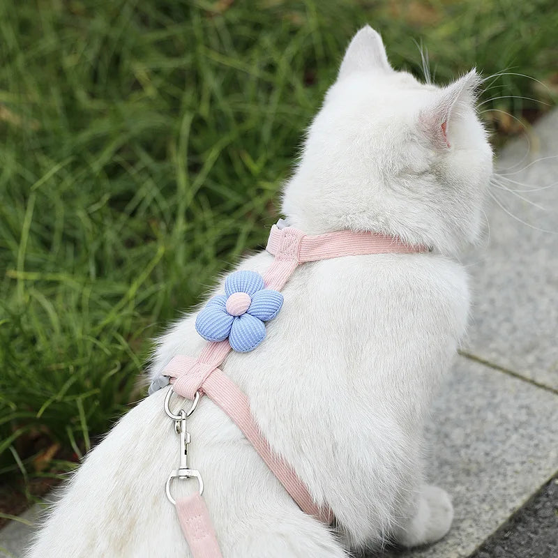 Bloom™ Cat Harness & Leash Set