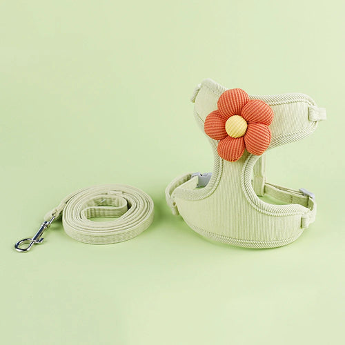 Bloom™ Cat Harness & Leash Set