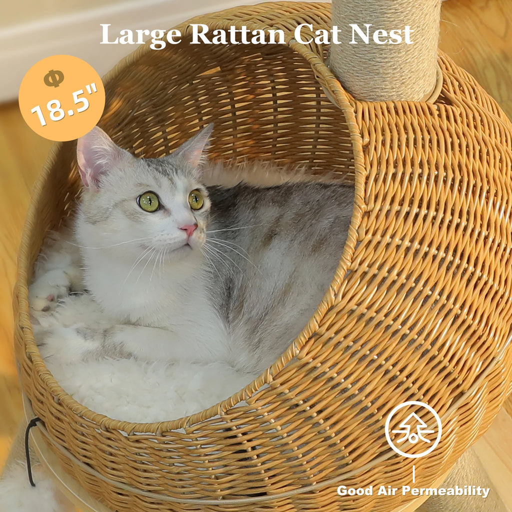 DinoDen™ Cat Condo & Scratcher