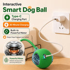 Tailvo™ MotionPlay Rechargeable Ball