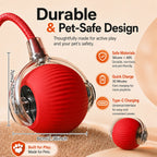 Tailvo™ MotionPlay Rechargeable Ball