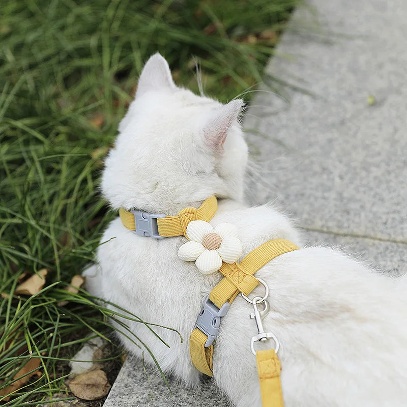 Bloom™ Cat Harness & Leash Set