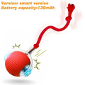 Tailvo™ MotionPlay Rechargeable Ball