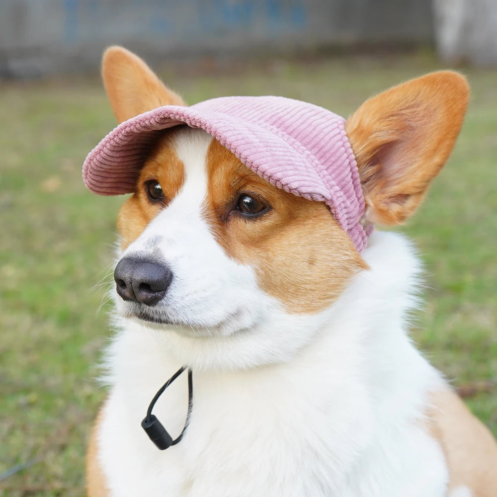 SunnyPaws™ Corduroy Pet Cap