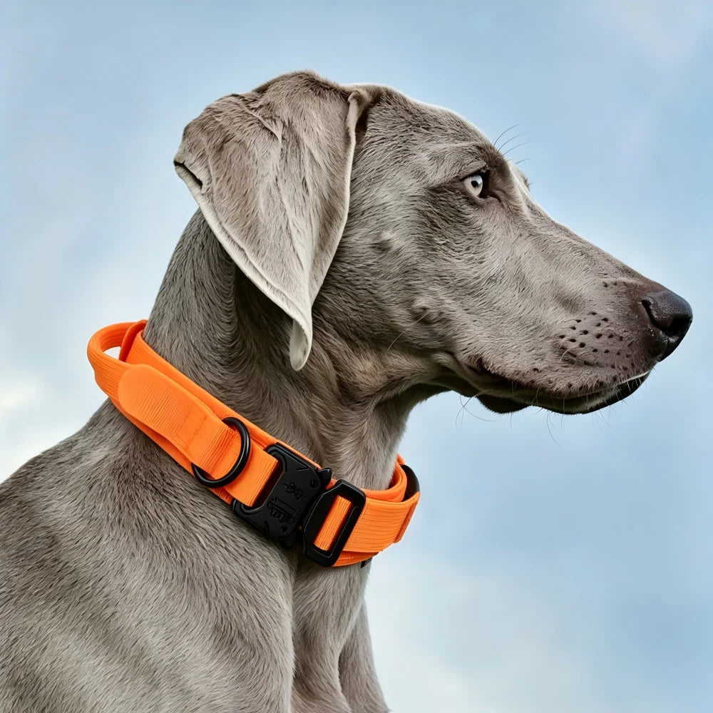TrailGuard™ Tactical Dog Collar