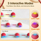 Tailvo™ MotionPlay Rechargeable Ball