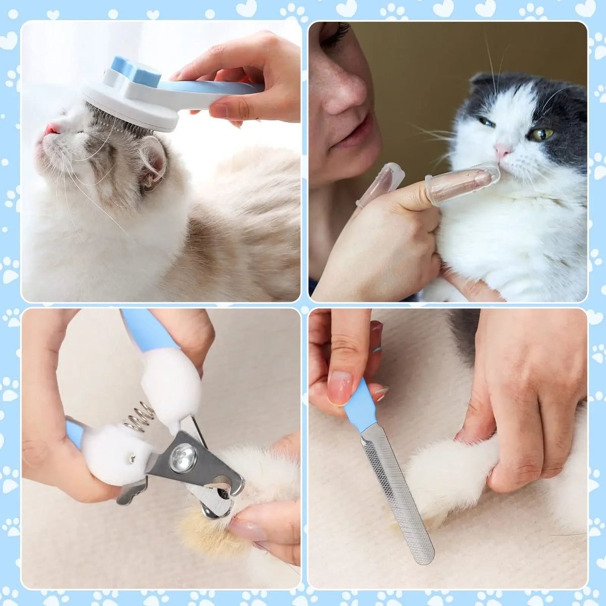 Complete Cat Care Grooming Kit - Tailvo