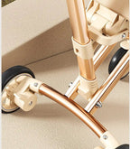 ÉlanRide™ Luxury Pet Travel System - Tailvo