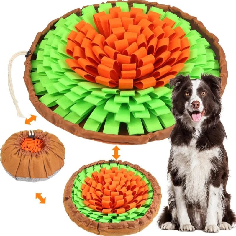 ForageNest™ Snuffle Mat - Tailvo