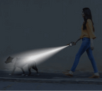 GlowGuide™ LED Retractable Dog Leash - Tailvo