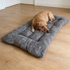 LoungePaw™ Comfort Pet Mat - Tailvo