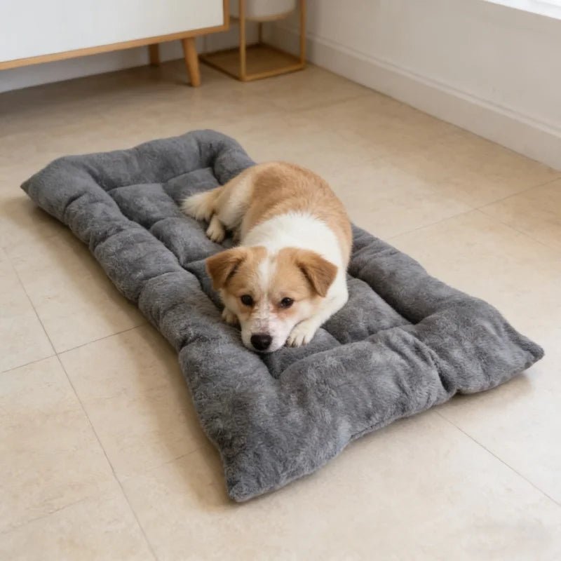 LoungePaw™ Comfort Pet Mat - Tailvo