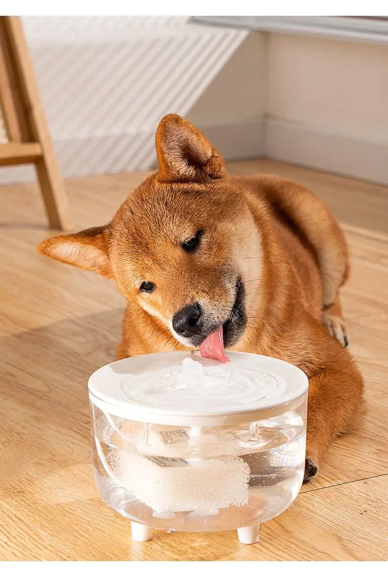 PureFlow™ Pet Water Fountain - Tailvo