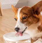 PureFlow™ Pet Water Fountain - Tailvo