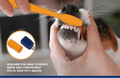 SmileGuard™ Pet Dental Care Kit - Tailvo
