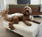SnuggleNest™ Luxury Pet Sofa - Tailvo