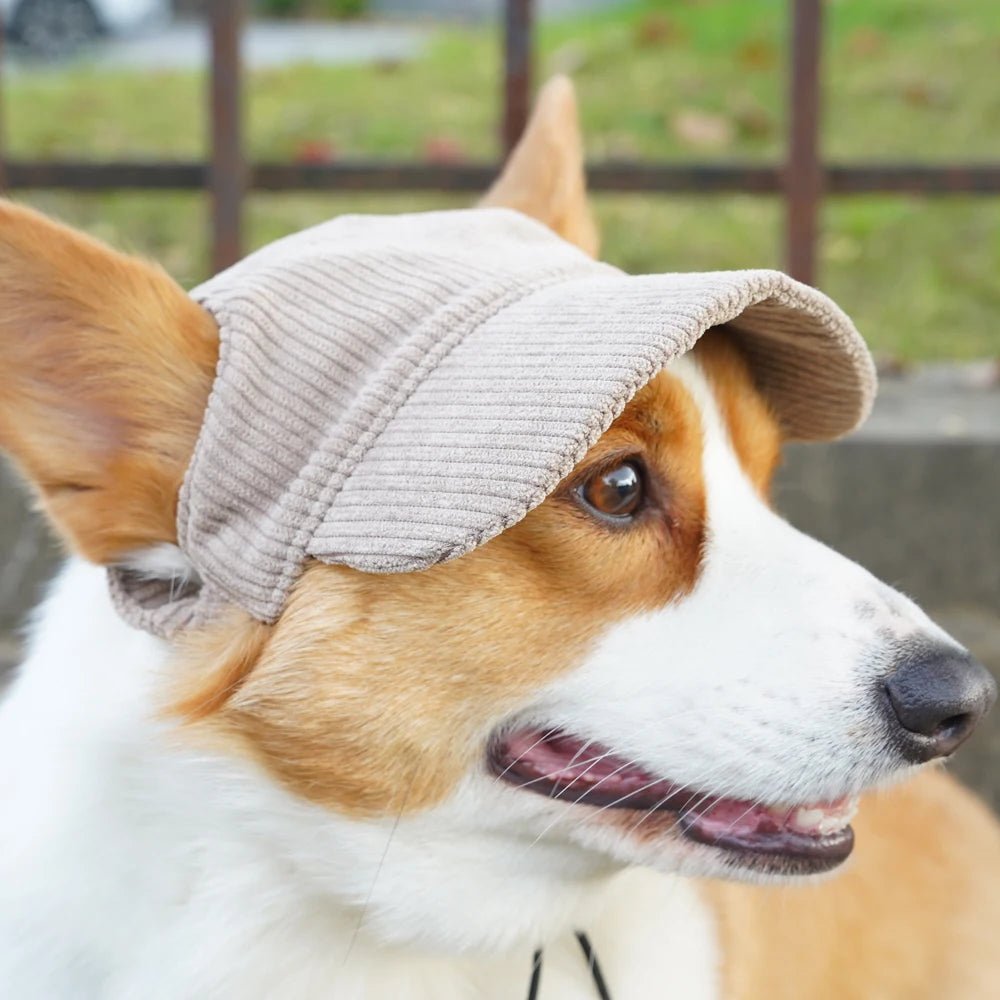SunnyPaws™ Corduroy Pet Cap - Tailvo