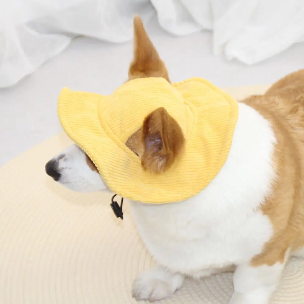 SunnyPaws™ Corduroy Pet Cap - Tailvo