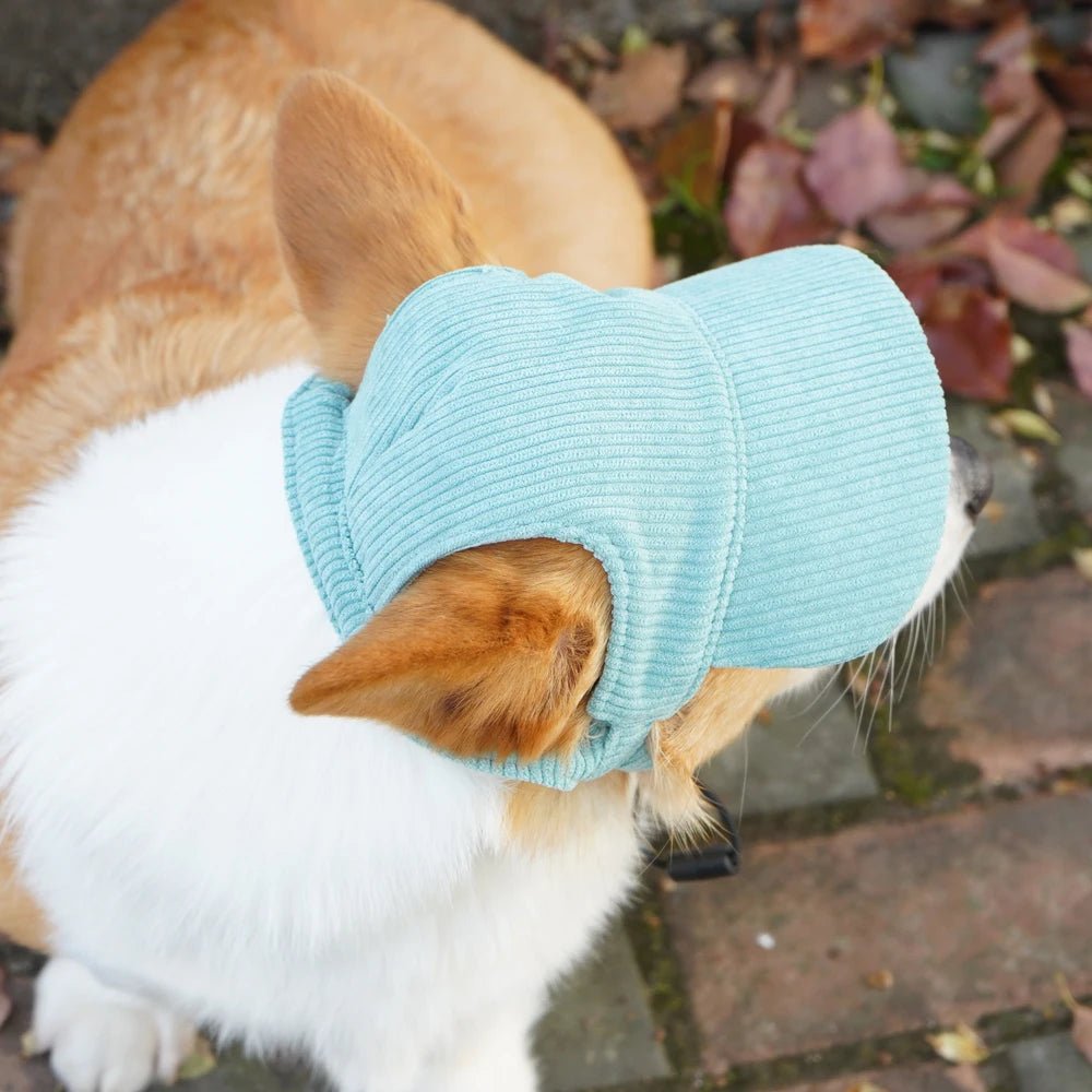 SunnyPaws™ Corduroy Pet Cap - Tailvo