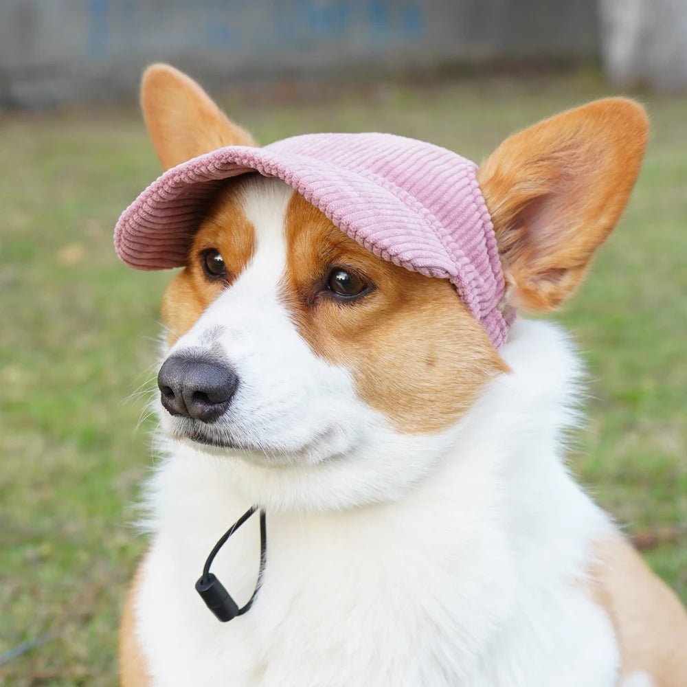 SunnyPaws™ Corduroy Pet Cap - Tailvo