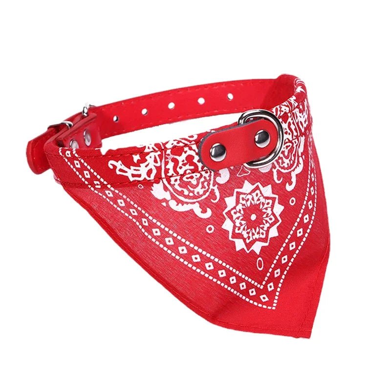 Tailvo Bandana Collar - Tailvo
