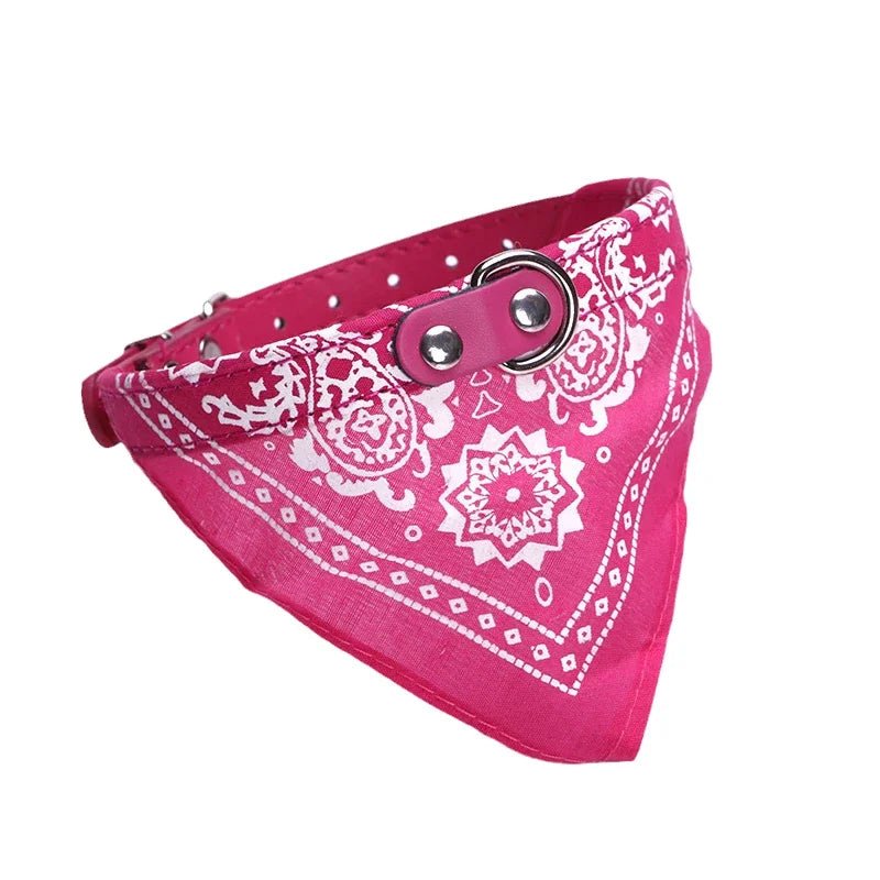 Tailvo Bandana Collar - Tailvo