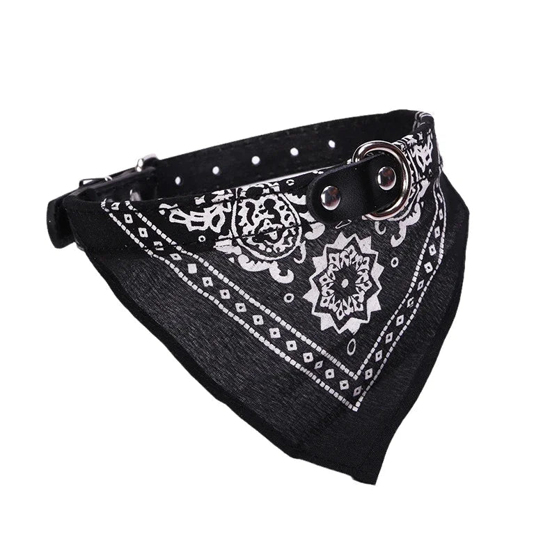 Tailvo Bandana Collar - Tailvo