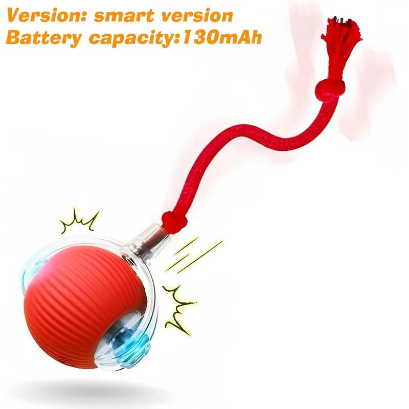 Tailvo™ MotionPlay Rechargeable Ball - Tailvo