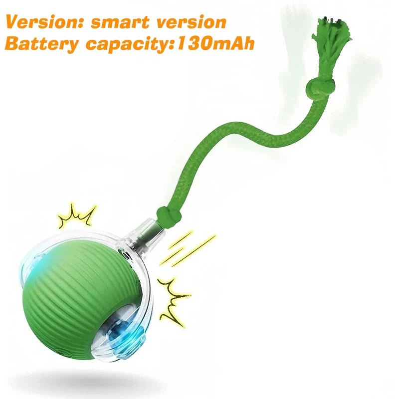 Tailvo™ MotionPlay Rechargeable Ball - Tailvo