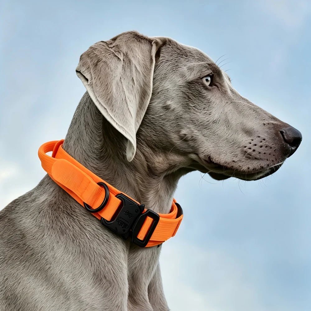TrailGuard™ Tactical Dog Collar - Tailvo