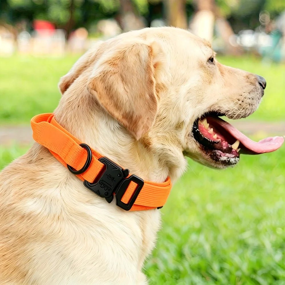 TrailGuard™ Tactical Dog Collar - Tailvo