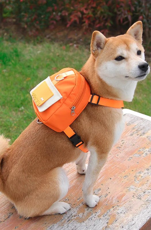 TrailPack™ Adventure Backpack - Tailvo
